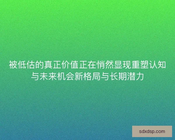 被低估的真正价值正在悄然显现重塑认知与未来机会新格局与长期潜力 被低估的真正价值正在悄然显现重塑认知与未来机会新格局与长期潜力